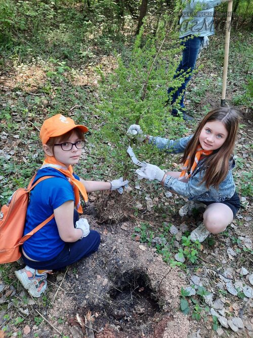photo_5_2023-05-23_22-19-02